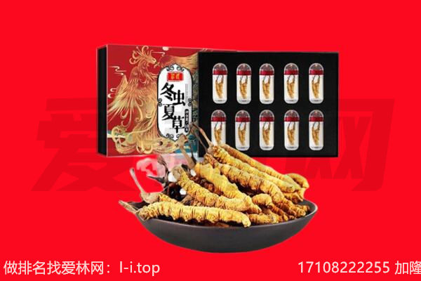 东莞市东坑镇回收虫草.jpg